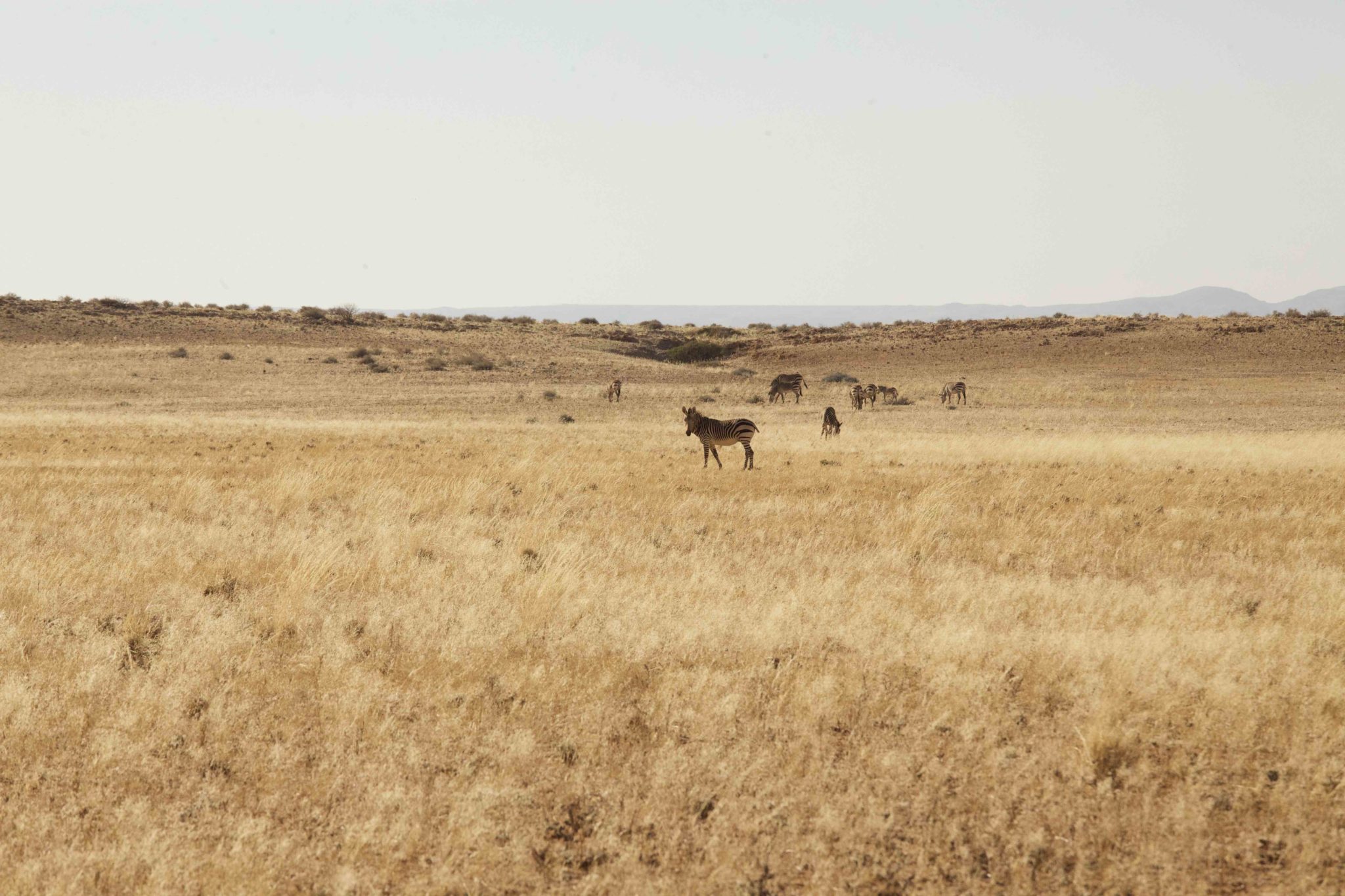 Communal Land in Namibia